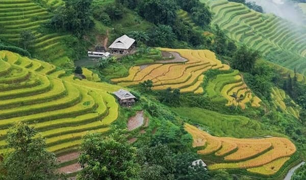 Khu vực huyện Hoàng Su Phì