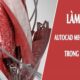 Giới thiệu khóa học Làm chủ Autocad Mechanical 2018 trong 10 giờ