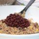 Lợi ích sức khỏe từ hạt Quinoa