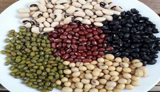 Nguyên liệu làm bột protein thực vật gồm 5 loại đậu
